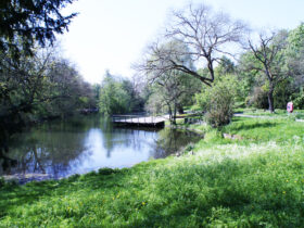 Parks in Heilbronn - Pfühlpark und Trappensee (Titel)