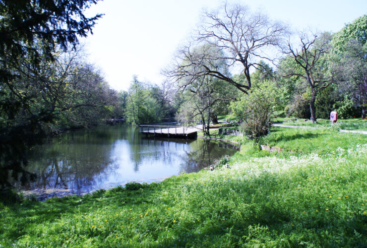 Parks in Heilbronn - Pfühlpark und Trappensee (Titel)