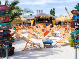 Hip Island Heilbronn - Interview 2017 (Titel)