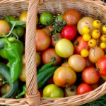 Solawi - Solidarische Landwirtschaft Heilbronn Mosbach 1