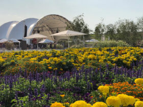 BUGA Heilbronn 2019 - Titel