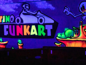 Martino Fun Kart Sinsheim - 1