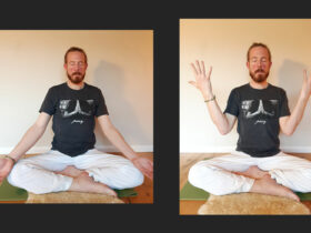 Yoga Übungen daheim - Steffen Satwant