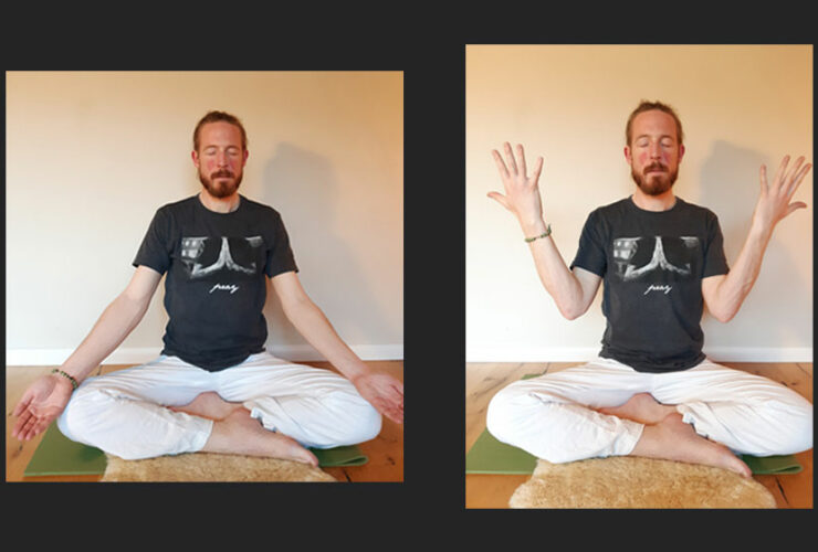 Yoga Übungen daheim - Steffen Satwant