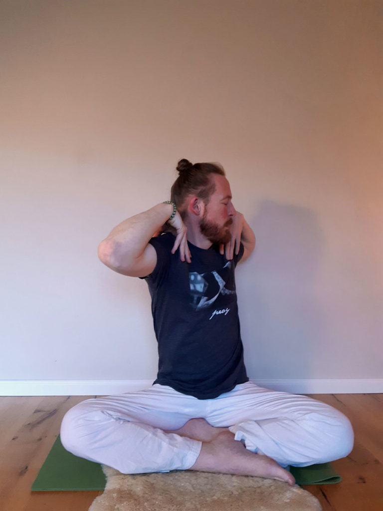 Yoga Übungen daheim - Steffen Satwant (Übung 3-3)