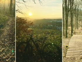 Mountainbiking - Heilbronn & Region (1)