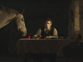 The Banshees of Inishirin (Colin Farrell)