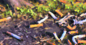 Kolumne - Cansu Cak: Zigarettenstummel & Umwelt