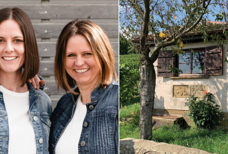 Stefanie und Sandra von pur.DEKO präsentieren: Hüttenzauber