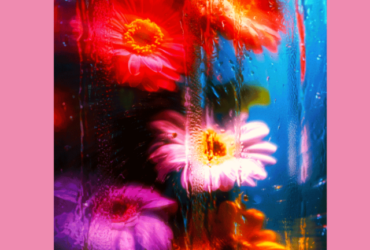 Phonk. Magazin - Oktober & November 2024 (Cover)