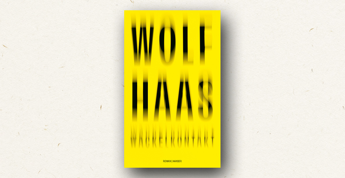 Wolf Haas - Wackelkontakt (Buchkritik)