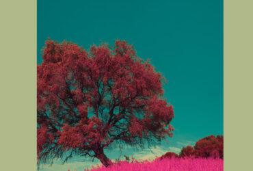 Phonk. Magazin - April & Mai 2025 (Cover)