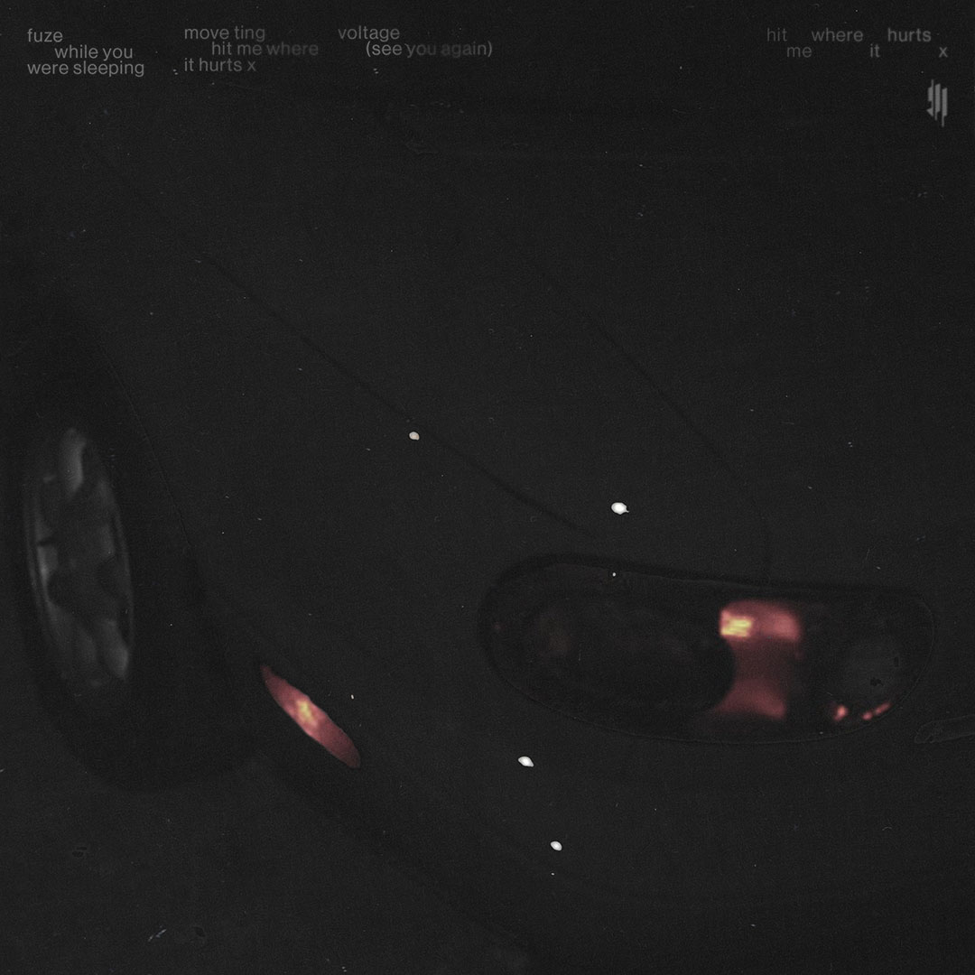 Skrillex - hit me where it hurts x