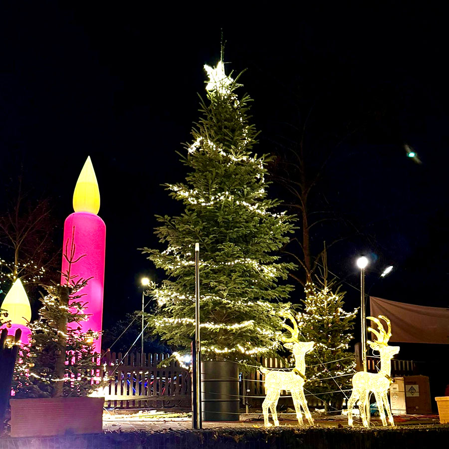 Weinachtsbaum beim Winterzauber am Trappensee