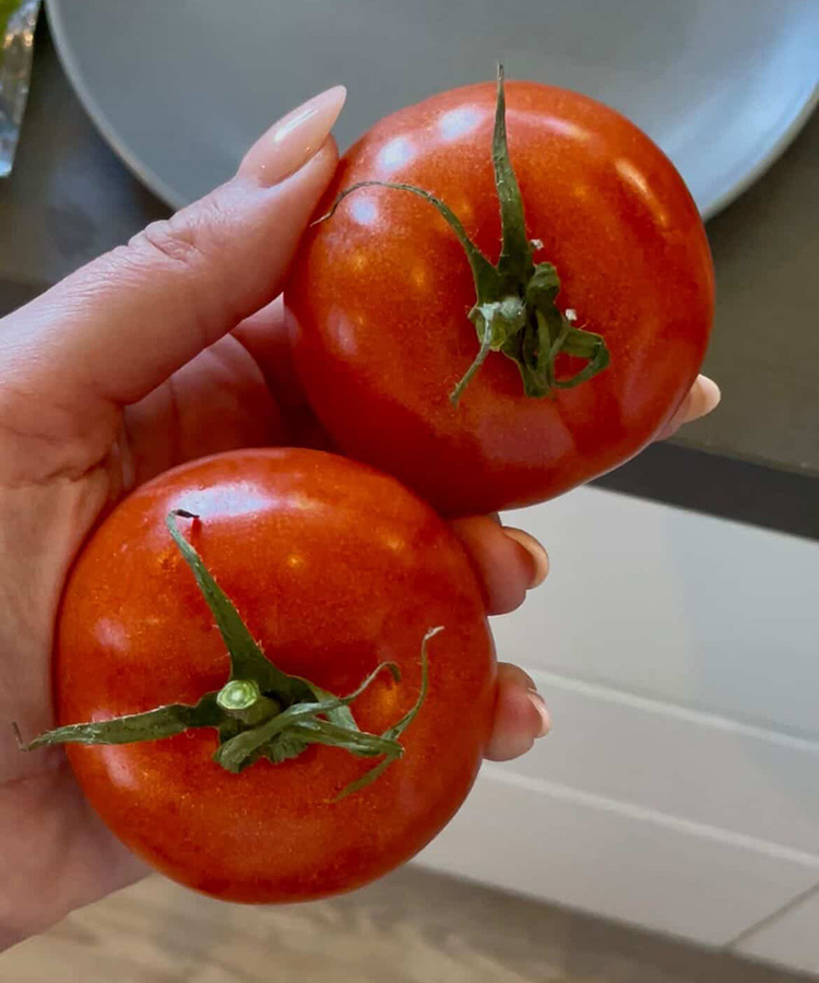 Tomaten für High Protein Burritos