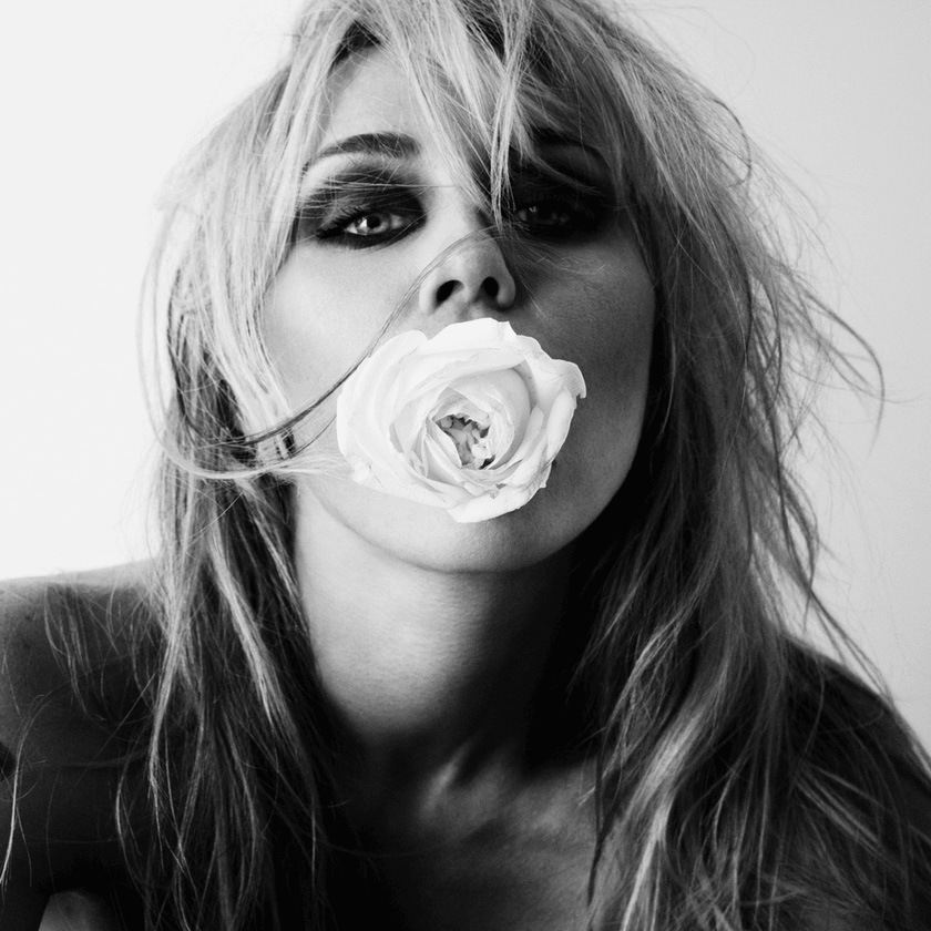 Miley - Bass Persuades (2026)